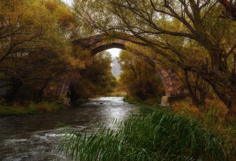 кавказ, река, армения, armenia, архитектура, осень, мост, bridge, oldbridge Таинственный мостphoto preview