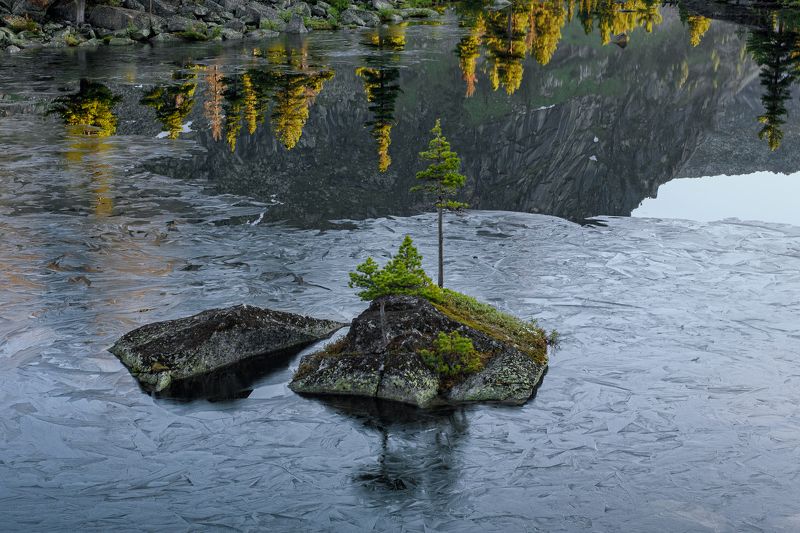 в плену узоровphoto preview