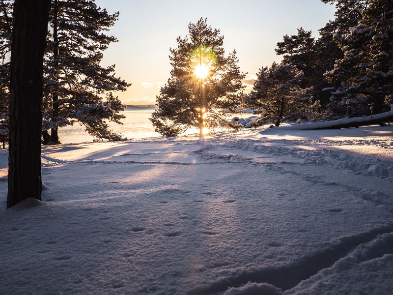 Солнечный зимний деньphoto preview