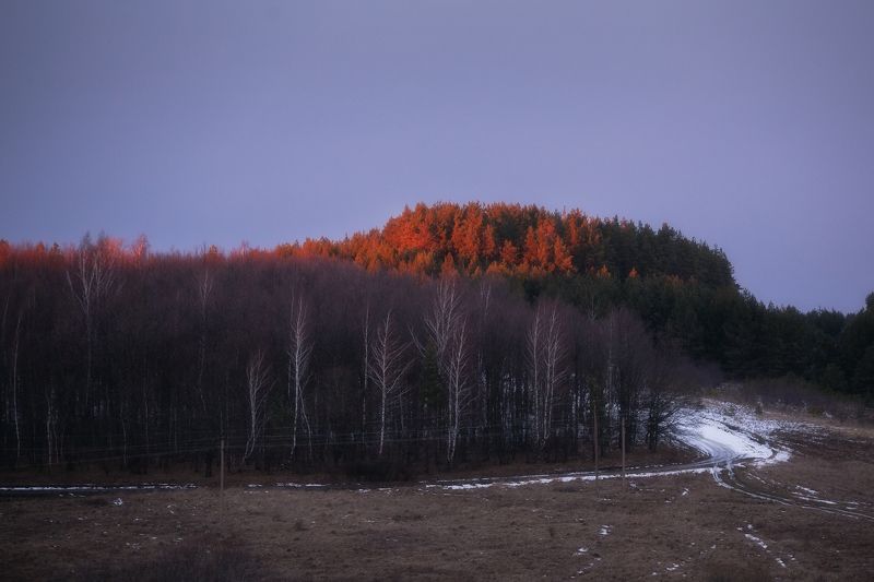 природа, закат, зима, пейзаж, Тульская область, зимний пейзаж, теплая зима На закатеphoto preview