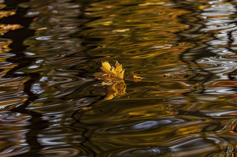 осень, золотая осень Осенние водыphoto preview
