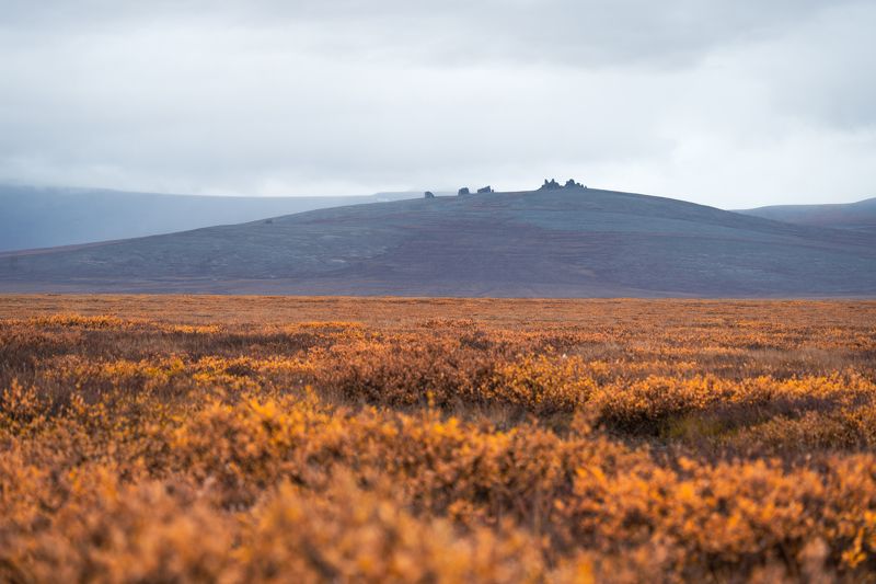 Чукотка Осенняя тундраphoto preview