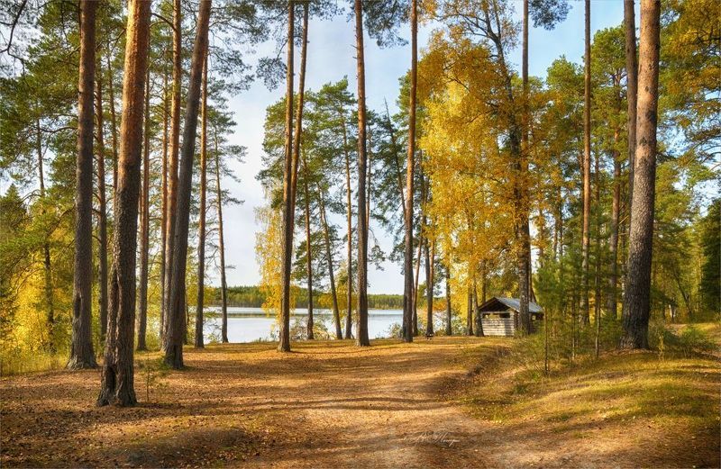 Ясные дни фото превью