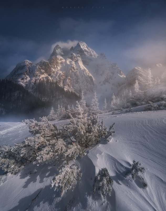 austria, landscape, winter, mountains, tree, trees, snow, Winter Talesphoto preview
