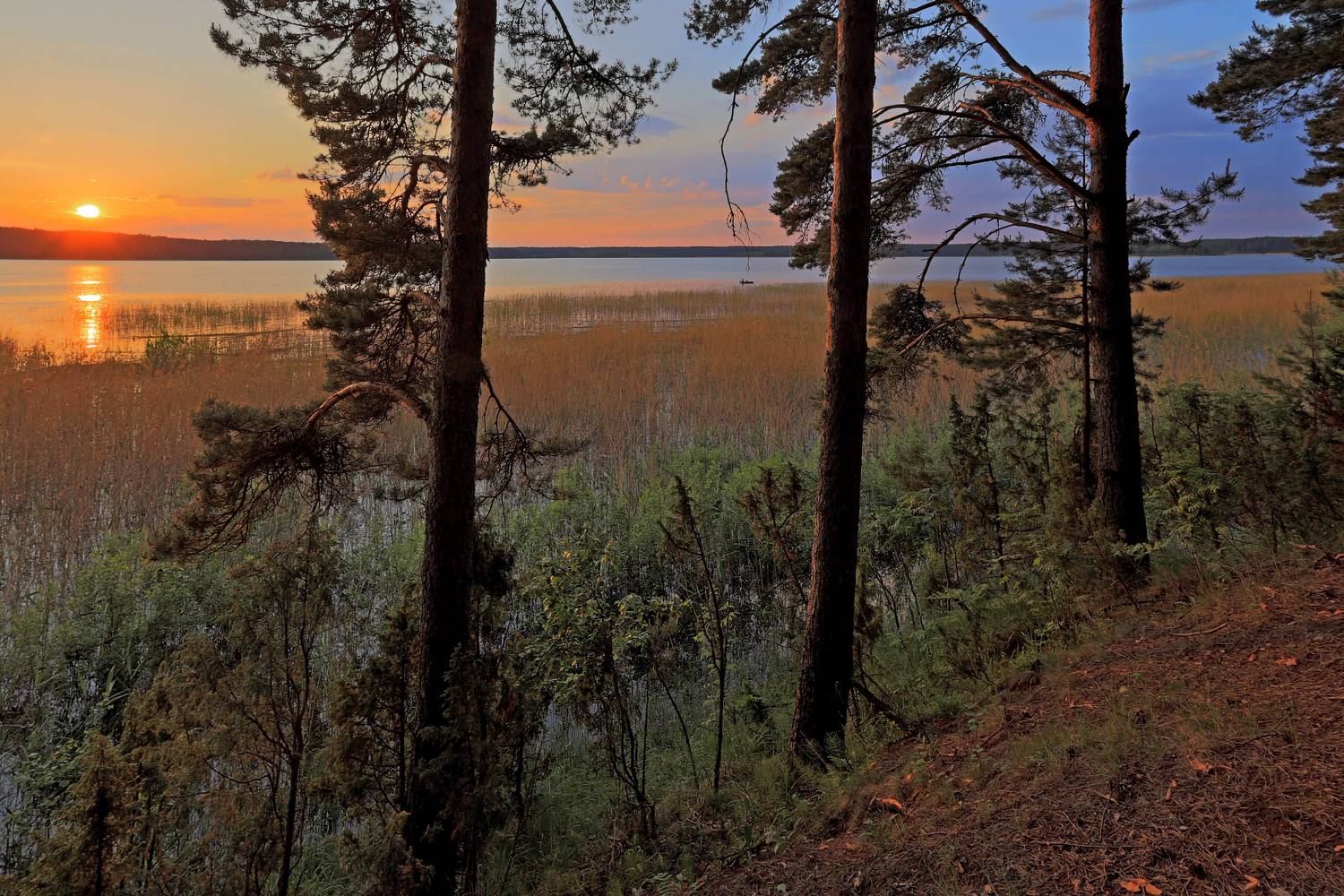 , Юрий Дёмин