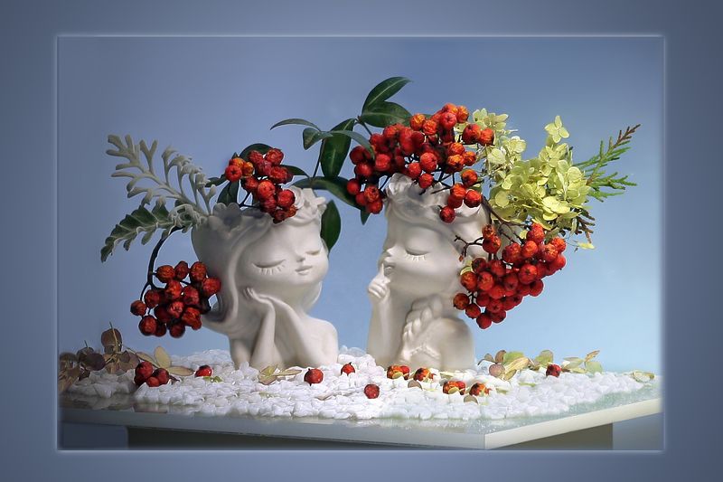 рябина, гортензия, цинерария, кашпо Спящие красавицыphoto preview