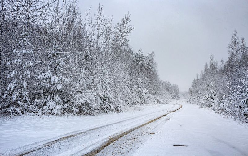 зима, снег, дорога, ёлки Тихий голос зимыphoto preview