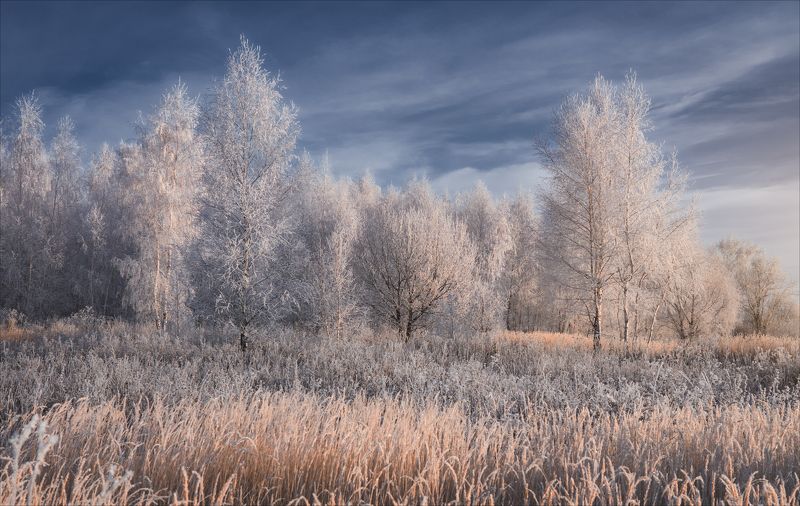 На опушке.photo preview