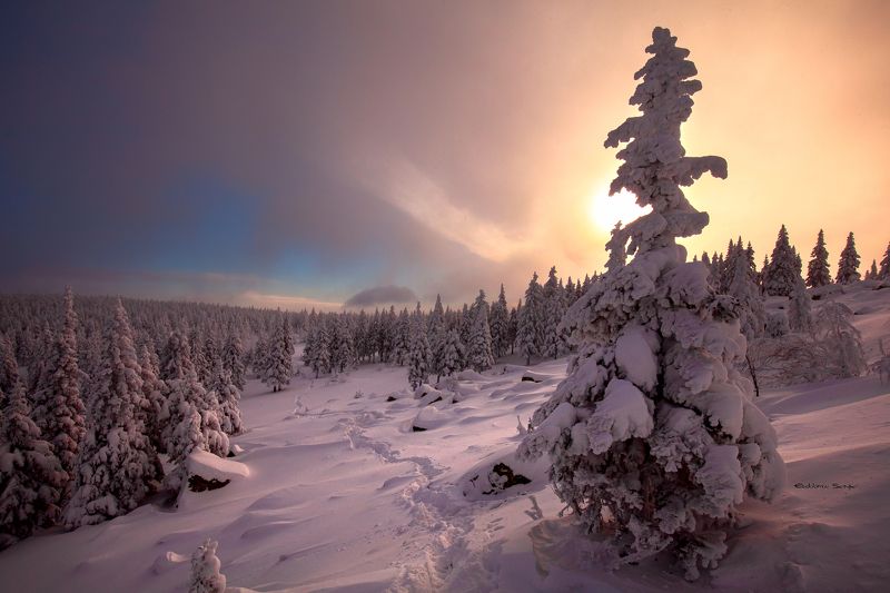 таганай, откликной, урал. photo preview