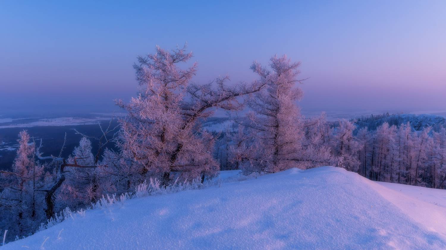Морозное утро на горе Калкан. Автор: Учалы Ильгиз , Учалы Ильгиз