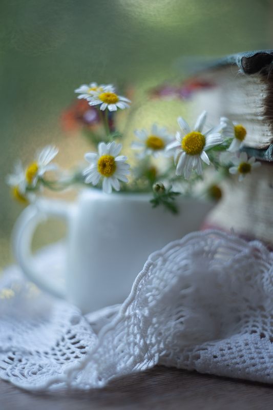 ромашки, мануальная оптика, гелиос 44,книга, ирина горюкина ,беларусь Для душиphoto preview