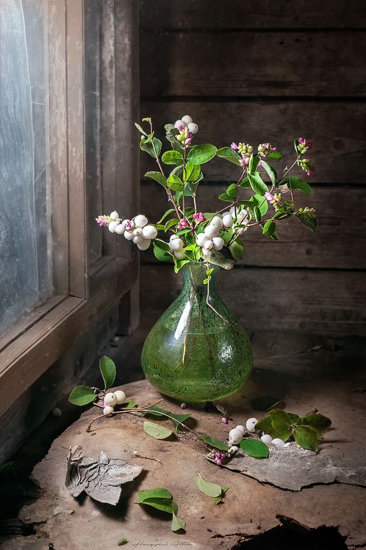 Hóbogyókphoto preview