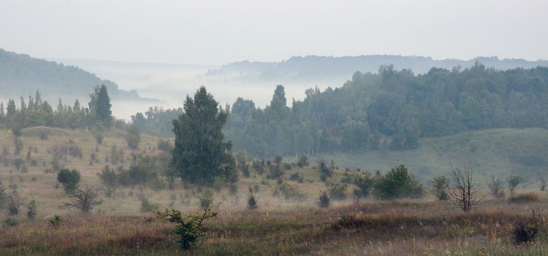 тула, красногорье, ведьмино, красивая меча Туманная долина Красногорьяphoto preview