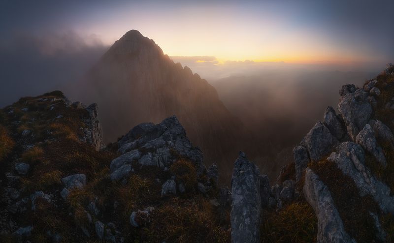 Red fangphoto preview