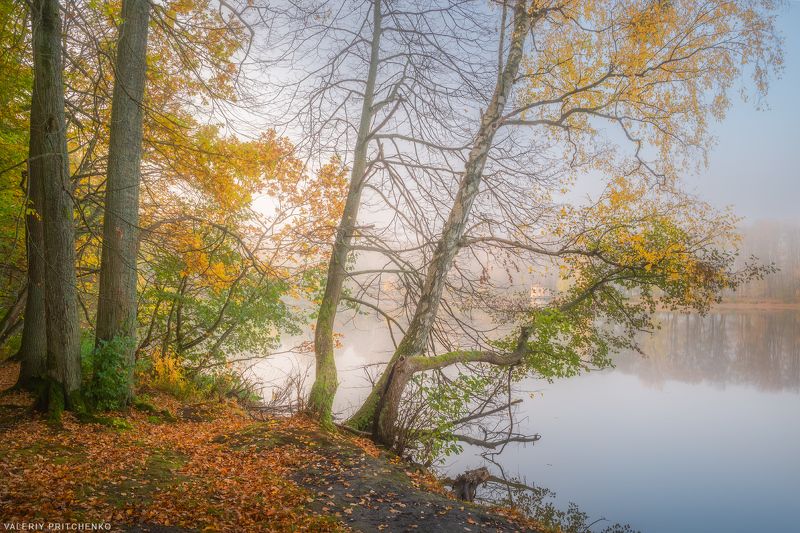 осень, природа, пейзаж, пруд, озеро, landscape, nature, autumn, lake Великий прудphoto preview