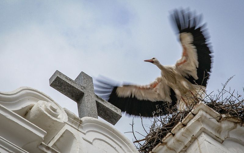 Прощай Европа!photo preview