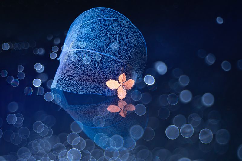 close-up Безропотно фото превью