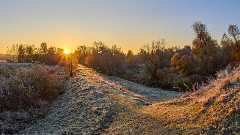 природа, лето, солнце, восход, рассвет, река, подмосковье Солнечная дорожкаphoto preview