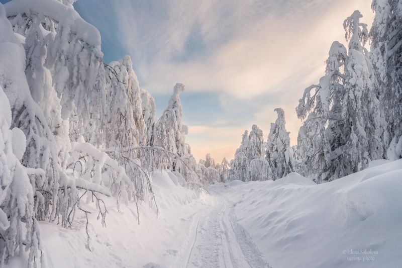 Снежная тропинка в Каменный городphoto preview
