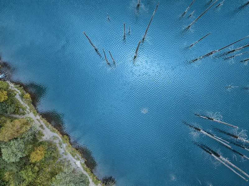 Каинды, затонувший лес, озеро Затонувший лес в глубине бирюзовых водphoto preview