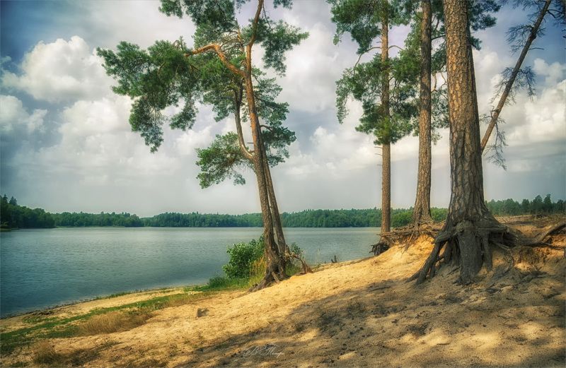 Лето фото превью