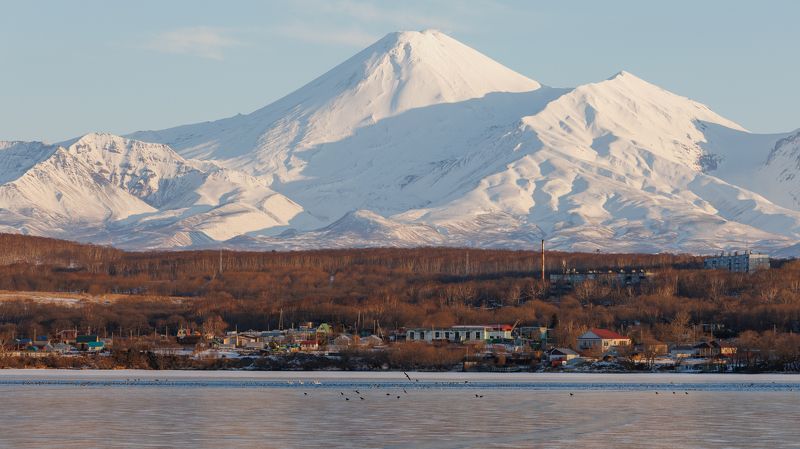 утро, озеро, камчатка, авачинский вулкан, гуси, птицы Авачинский вулканphoto preview