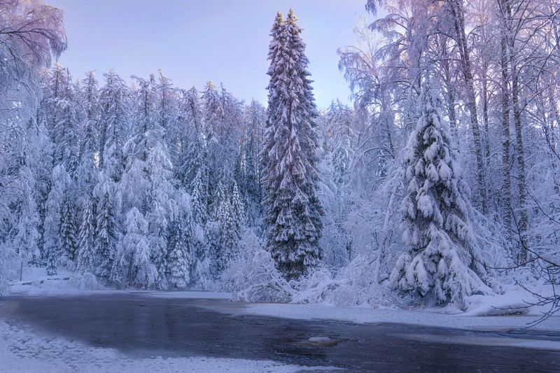 зима, мороз, пейзаж, река, зимняя река, ленинградская область, река рощинка, линдуловская роща В объятиях зимыphoto preview