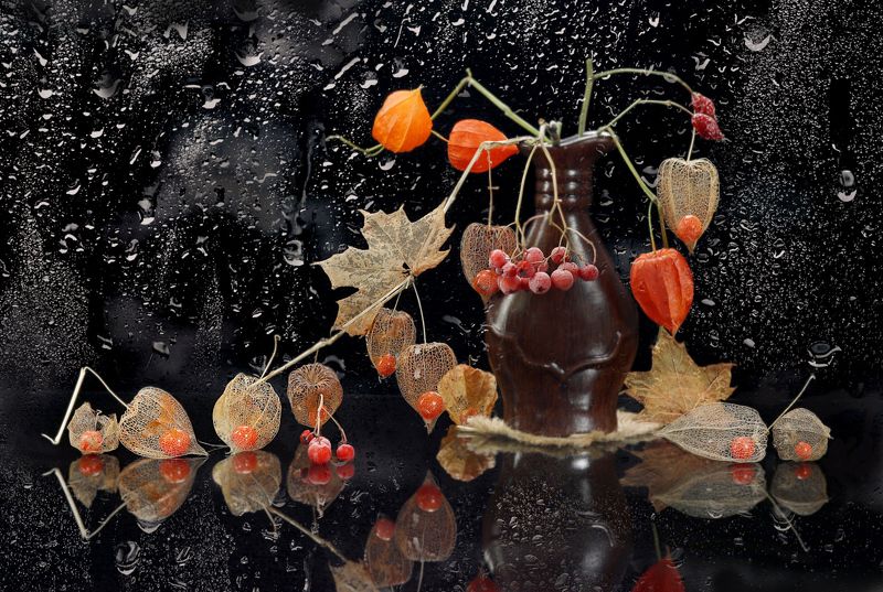 цветы, физалис, ягода, ваза, капли Физалисphoto preview