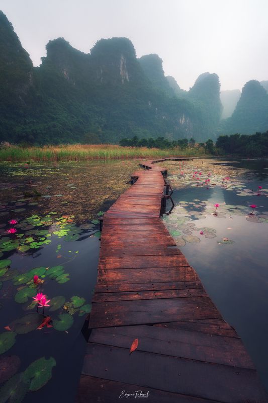 Вьетнамphoto preview