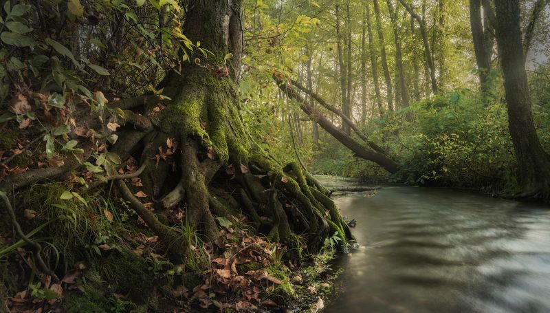 дыхание  природыphoto preview