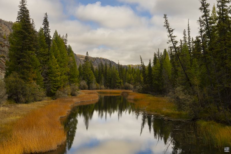 алтай На Чуйском трактеphoto preview