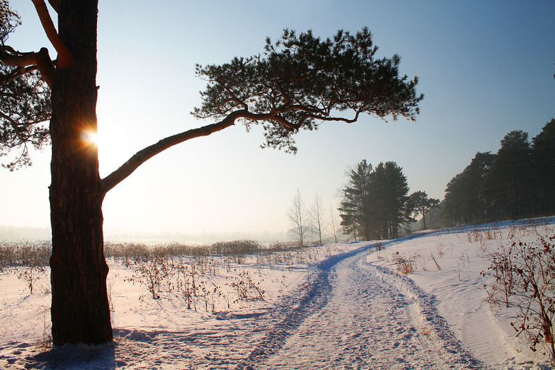 зима, январь, сибирь, россия  фото превью