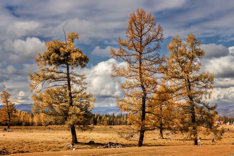 Горный Алтайphoto preview