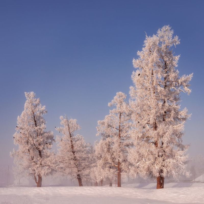 Пушистость фото превью