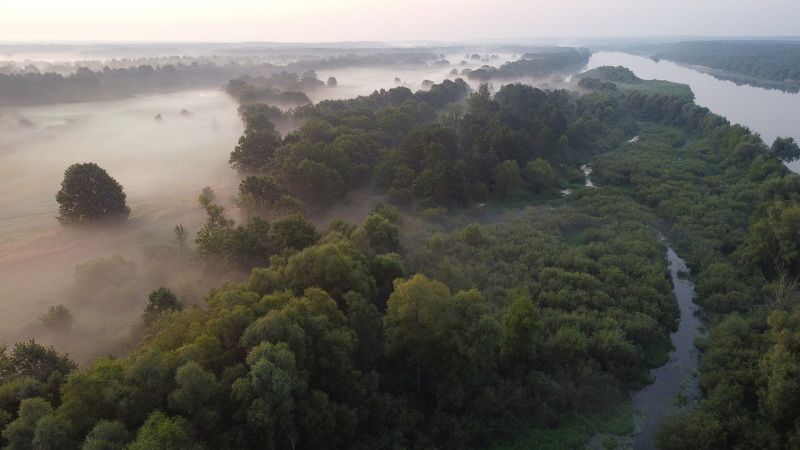 Летнее утроphoto preview