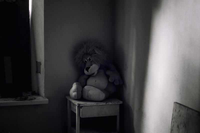 заброшка, мягкая игрушка -Я подожду.photo preview