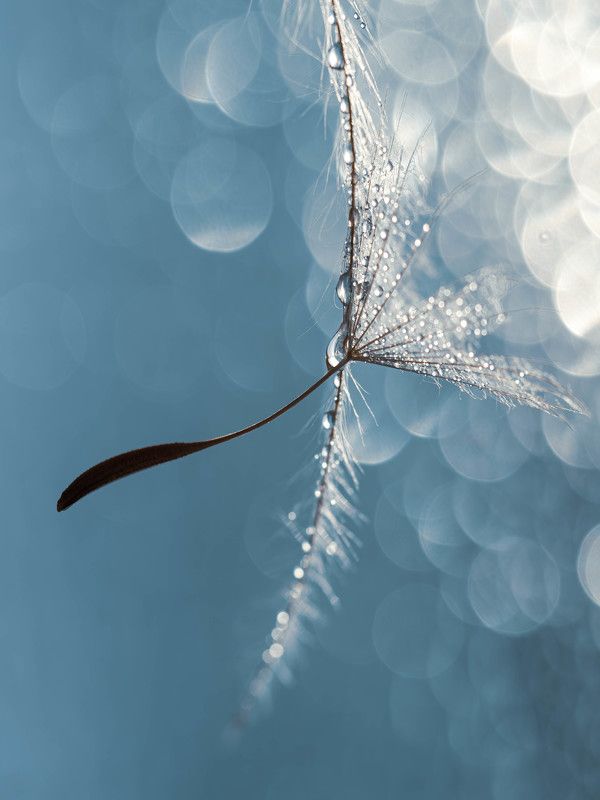 Невесомостьphoto preview