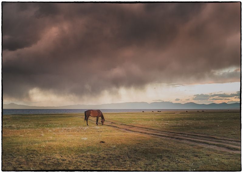 В пленуphoto preview