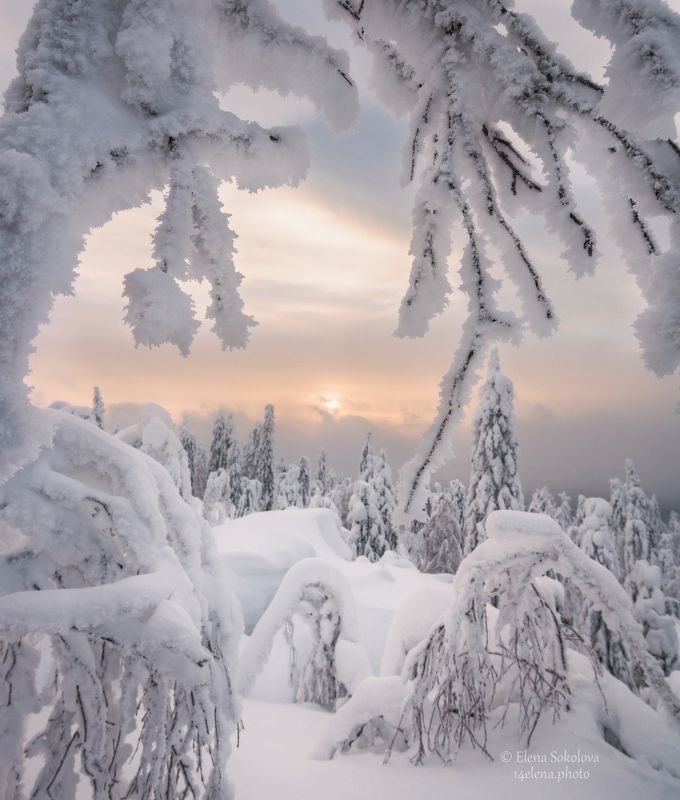 Морозный вечерphoto preview