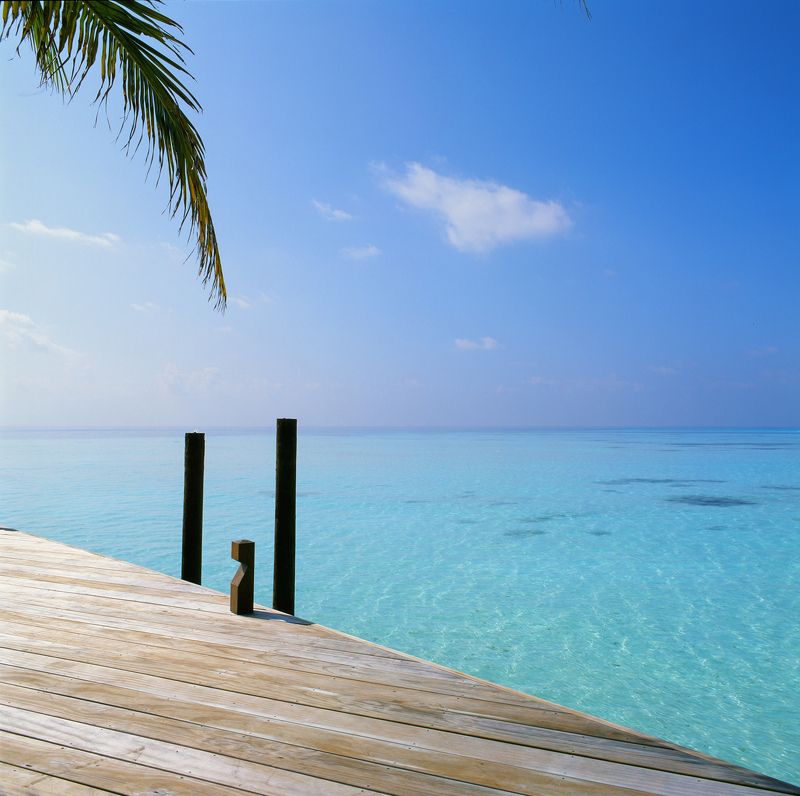 bronica sq-a, bronica, sq-a, zenzabronica, film, плёнка, medium format, m-format, middle, 120 film, 6x6, 120mm, средний формат, Fujifilm, Fujichrome, Velvia, Velvia 50, Fujichrome Velvia 50, Fujifilm Velvia 50, Fuji Velvia 50, Fujifilm Fujichrome Velvia 5 photo preview