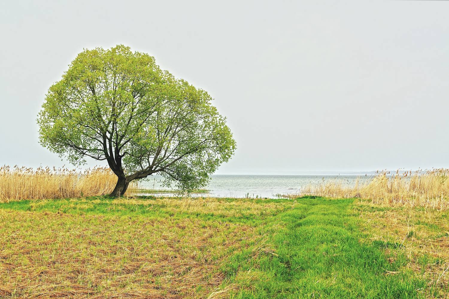 оз.Плещеево. Автор: Юрий Дёмин , Юрий Дёмин