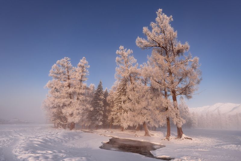 алтай, республика алтай, северо-чуйский хребет, курай, снег, иней Морозная свежесть фото превью