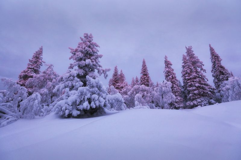 Уреньга, Южный Урал, Урал Уральский лесphoto preview