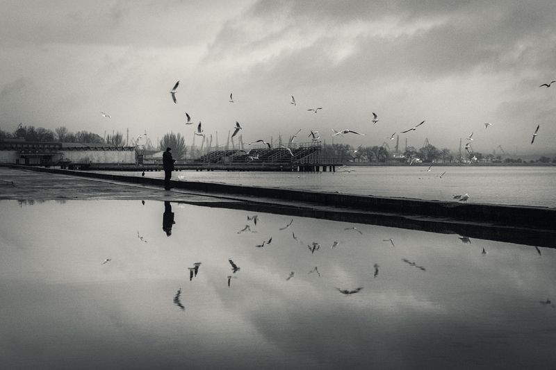 черно-белое, монохром, уличное, уличная фотография, зима, атмосферное, отражение,черное море, набережная, мужчина, птицы, чайки, кормление, событие, жизнь, мануальное, винтажная оптика, юпитер-8, керчь, крым, россия, Про зимнее подношение.photo preview