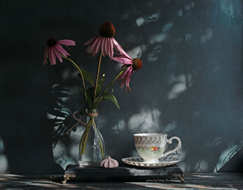 цветок, чашка чая, минимум, минимализм, созерцание, чай, чай на травах, ваза, flower, cup of tea, minimalism, contemplation, tea, herbal tea, vase Цветы и чашка чаяphoto preview