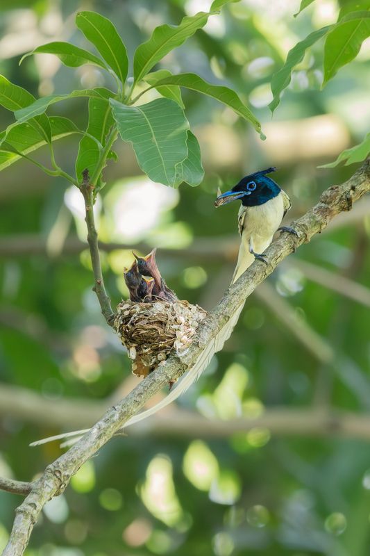 Feeding the Futurephoto preview