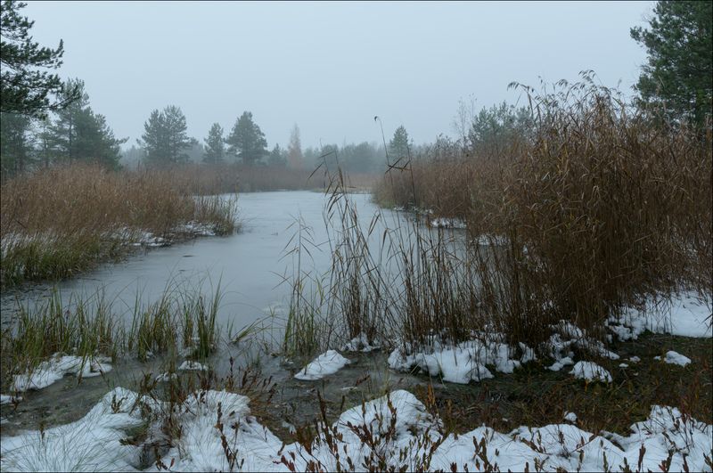 Погружение в хмарь первого снегаphoto preview