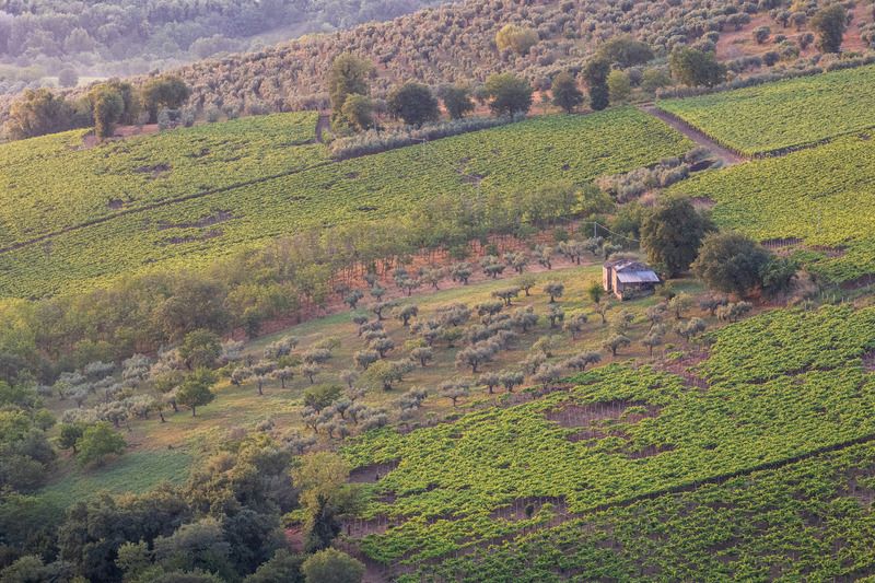 Утро где-то в Италииphoto preview