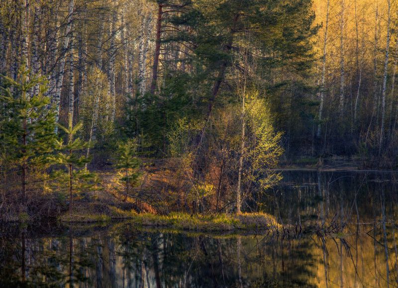 пейзаж апрель утро свет отражение лес березка вязниковский р-он Уютный уголок апрельского утраphoto preview