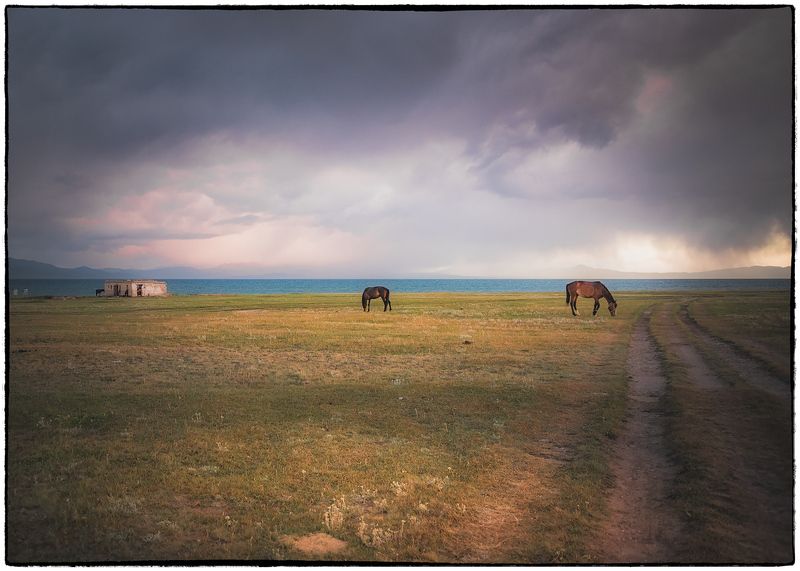 Кыргызстан. Озеро Сон Кульphoto preview